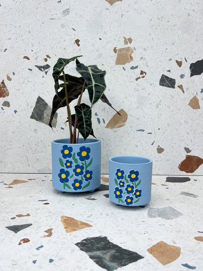Cache-pot Myosotis - Alma Plantes