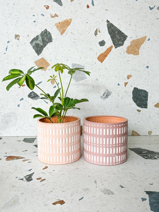 Cache - pot Naya - Alma Plantes