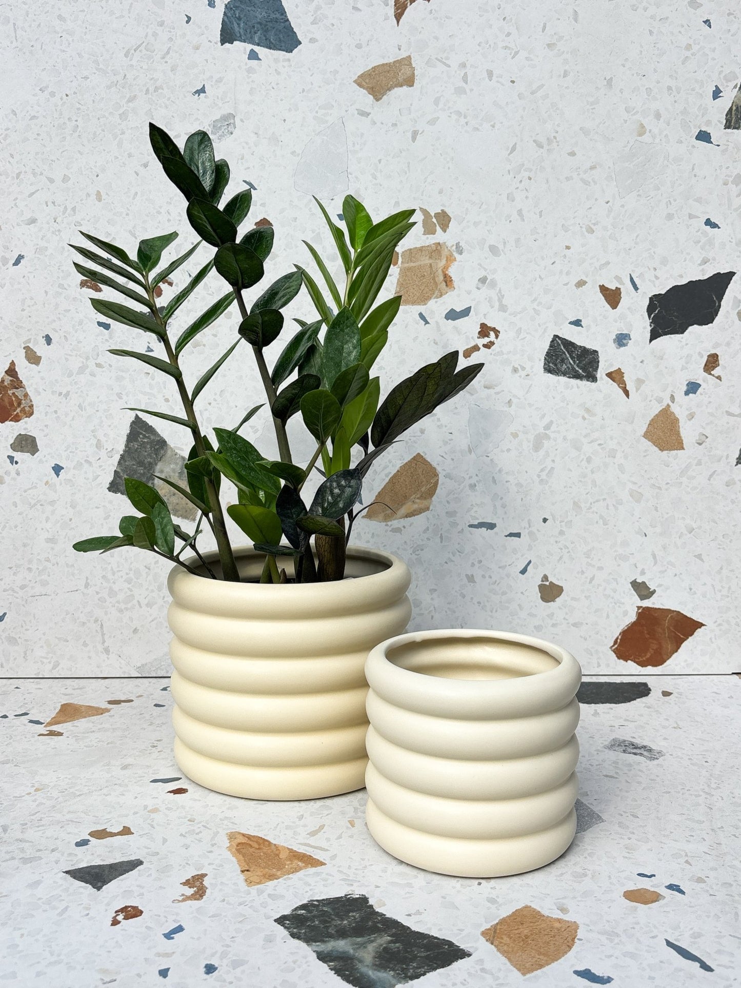 Cache-pot Ondulé - Alma Plantes