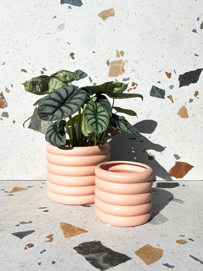 Cache-pot Ondulé - Alma Plantes