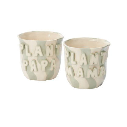Cache - pot parent préféré - Alma Plantes
