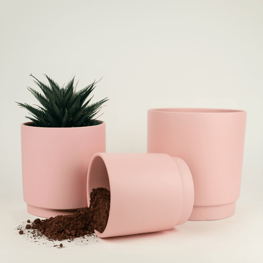 Cache - pot rose mat - Alma Plantes