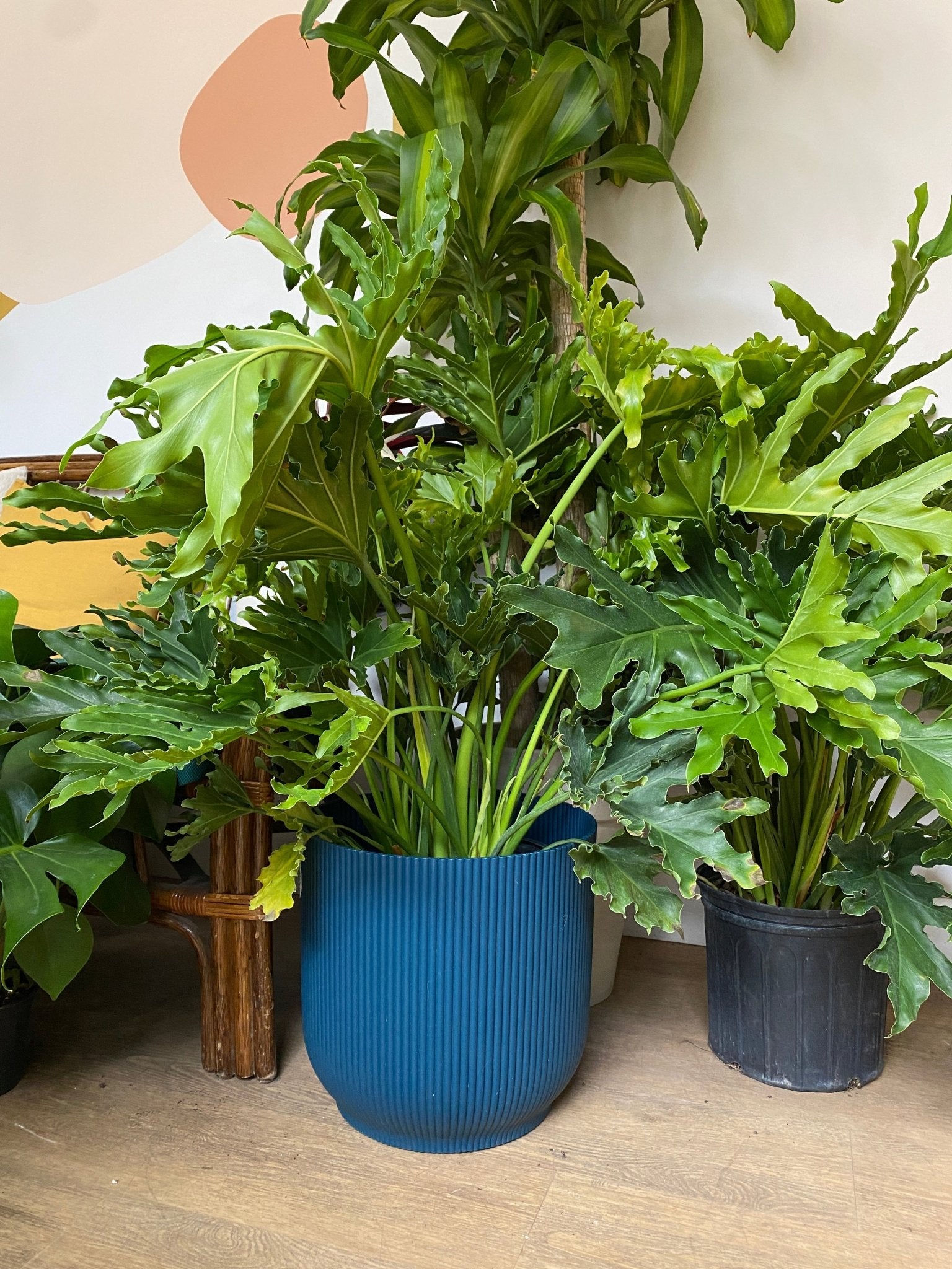 Cache pot texturé avec roues - bleu - Alma Plantes