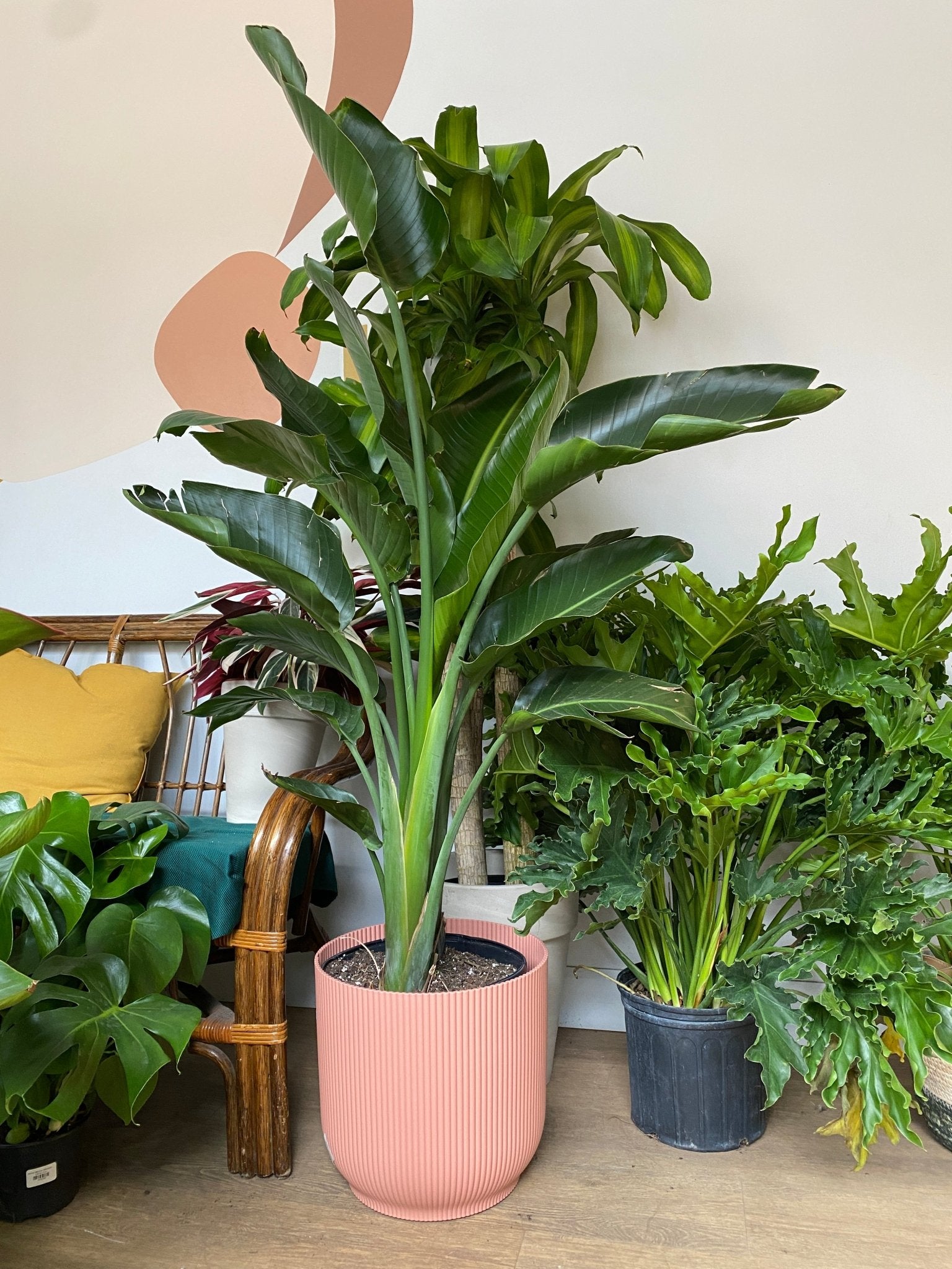 Cache pot texturé avec roues - rose - Alma Plantes