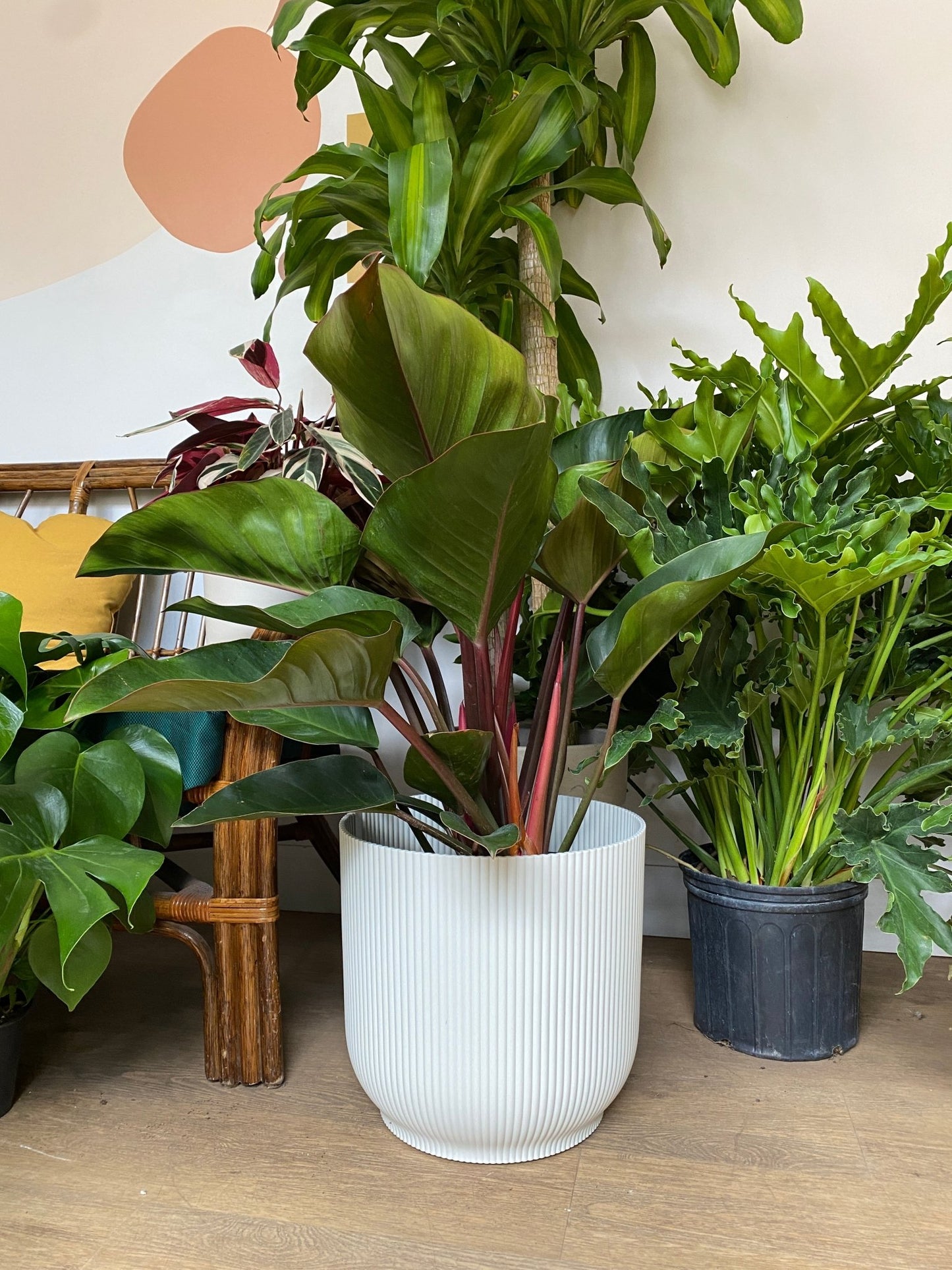 Cache pot texturé avec roues - white - Alma Plantes