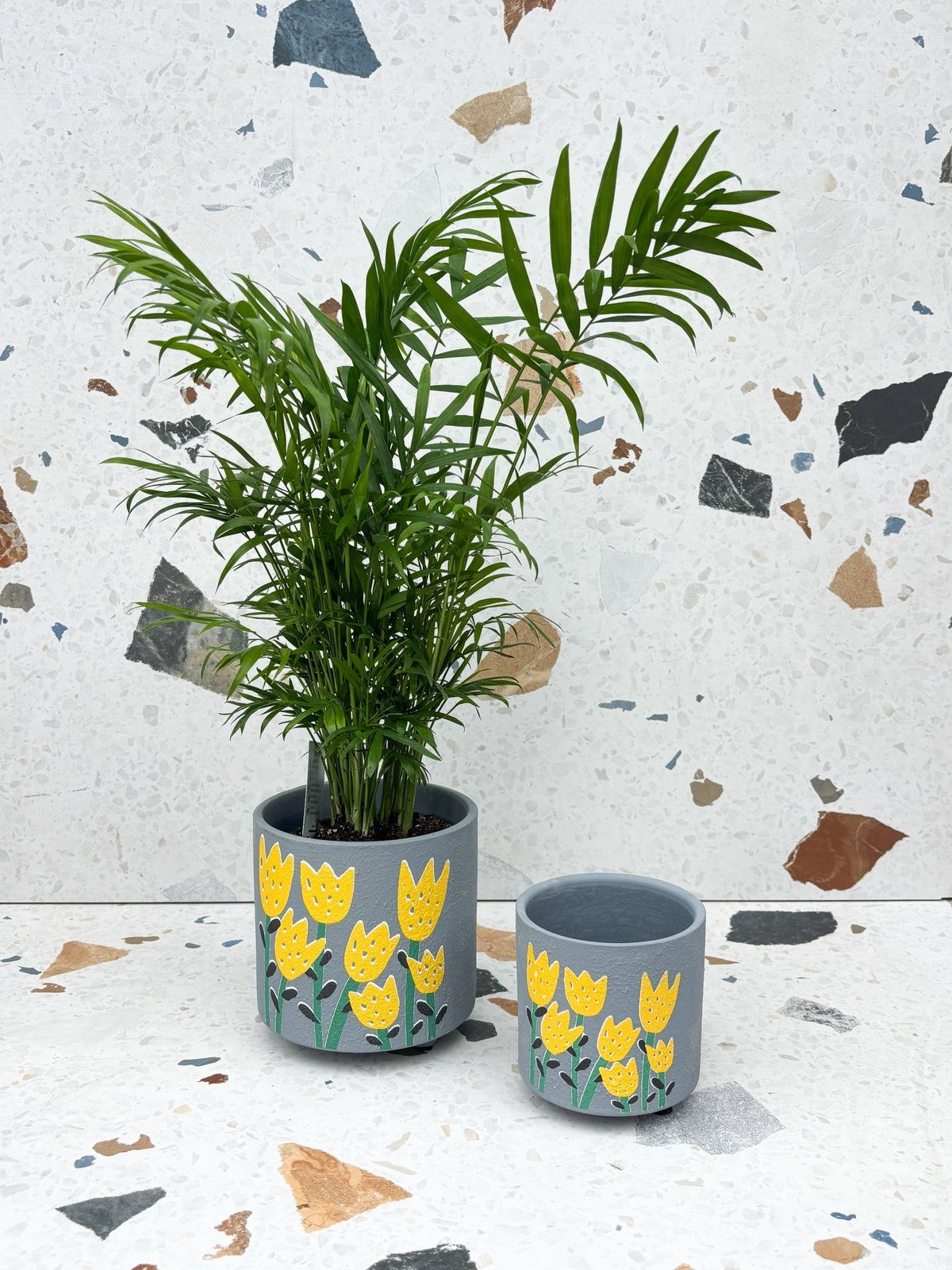 Cache-pot Tulipes - Alma Plantes