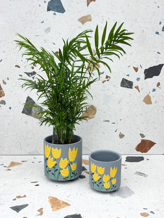 Cache-pot Tulipes - Alma Plantes