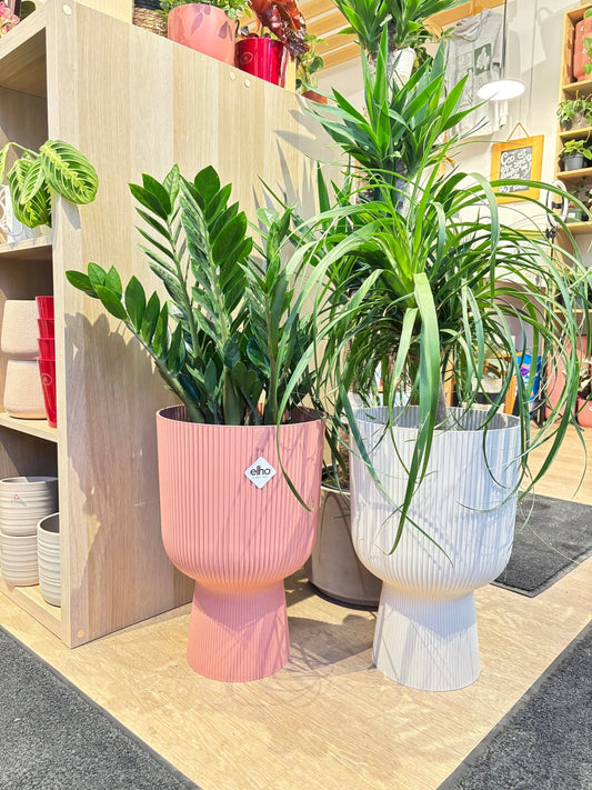 Cache - pot - Vibes fold coupe - Grand format - Alma Plantes