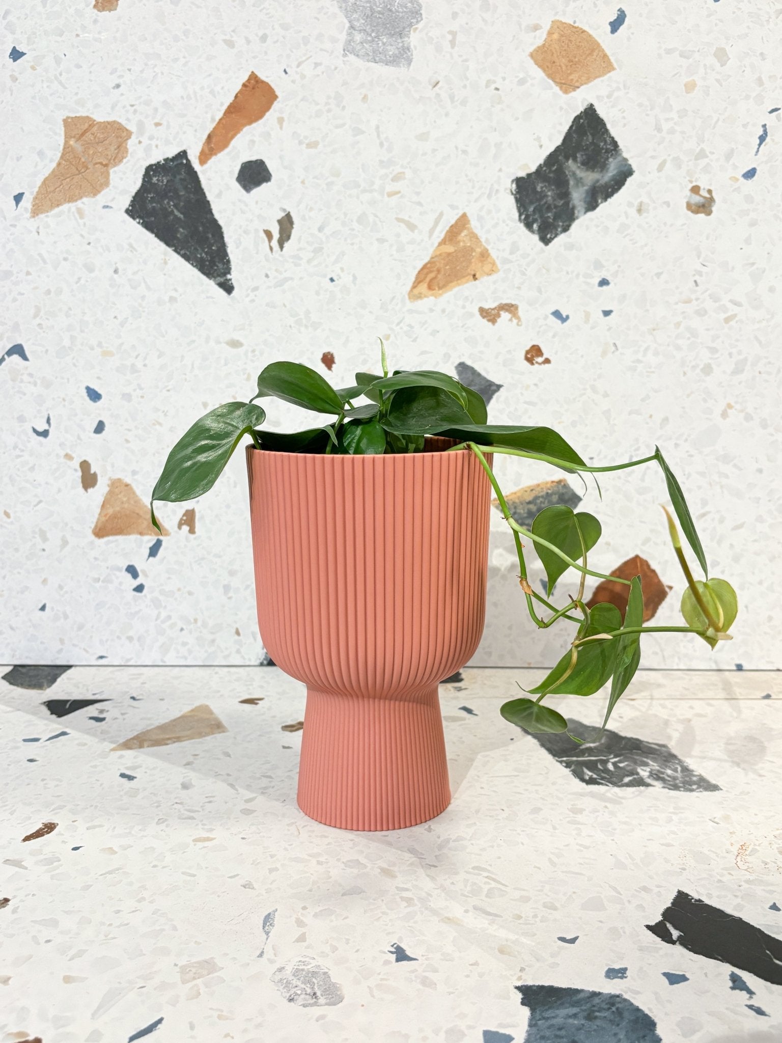 Cache - pot - Vibes fold coupe - Grand format - Alma Plantes