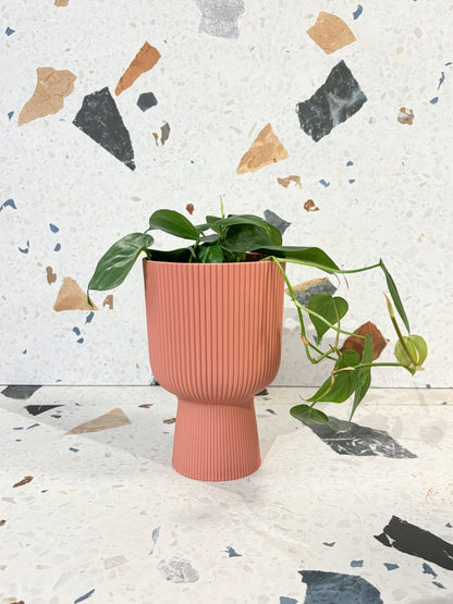 Cache - pot - Vibes fold coupe - Grand format - Alma Plantes