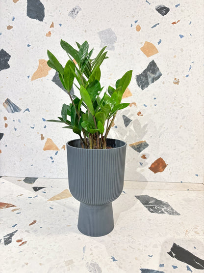 Cache - pot - Vibes fold coupe - Grand format - Alma Plantes