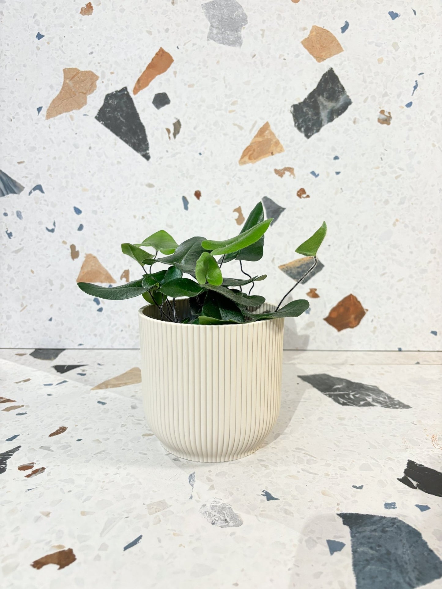 Cache - pot - Vibes fold rond - Alma Plantes