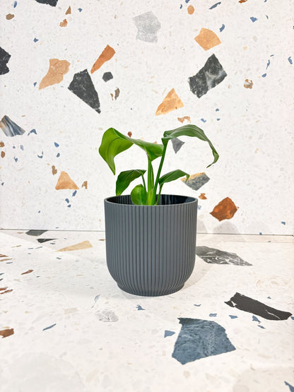 Cache - pot - Vibes fold rond - Alma Plantes