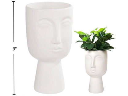 Cache - pot visage - Alma Plantes