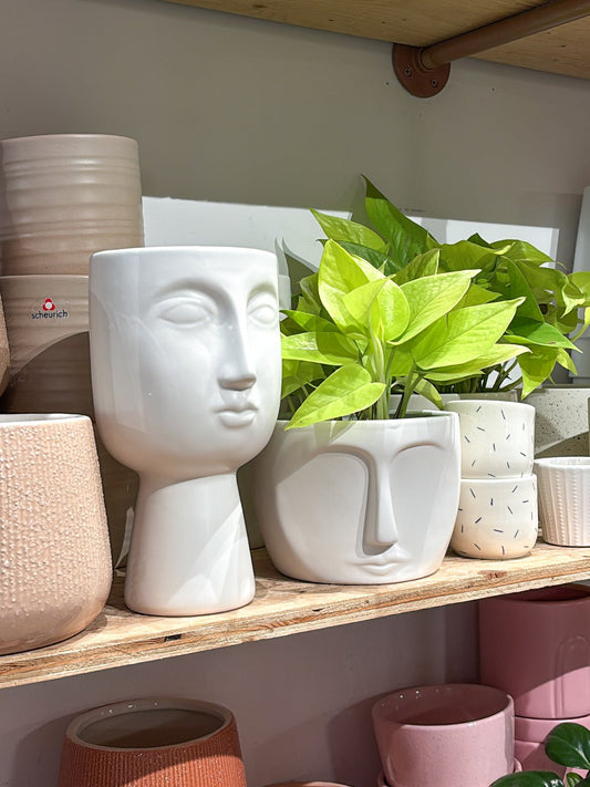 Cache - pot visage court - Alma Plantes