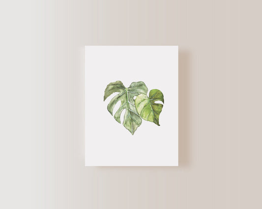 Carte de souhaits - Monstera - Alma Plantes
