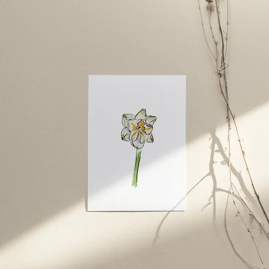 Carte de souhaits - Narcisses Bridal Crown - Alma Plantes