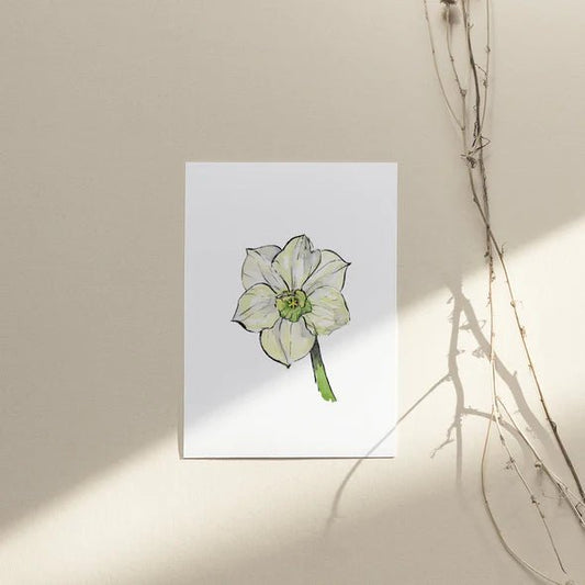 Carte de souhaits - Narcisses Papillon - Alma Plantes