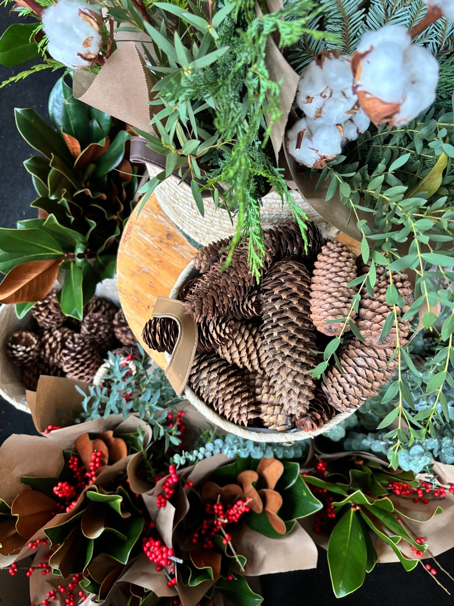 Cocottes assorties - Alma Plantes