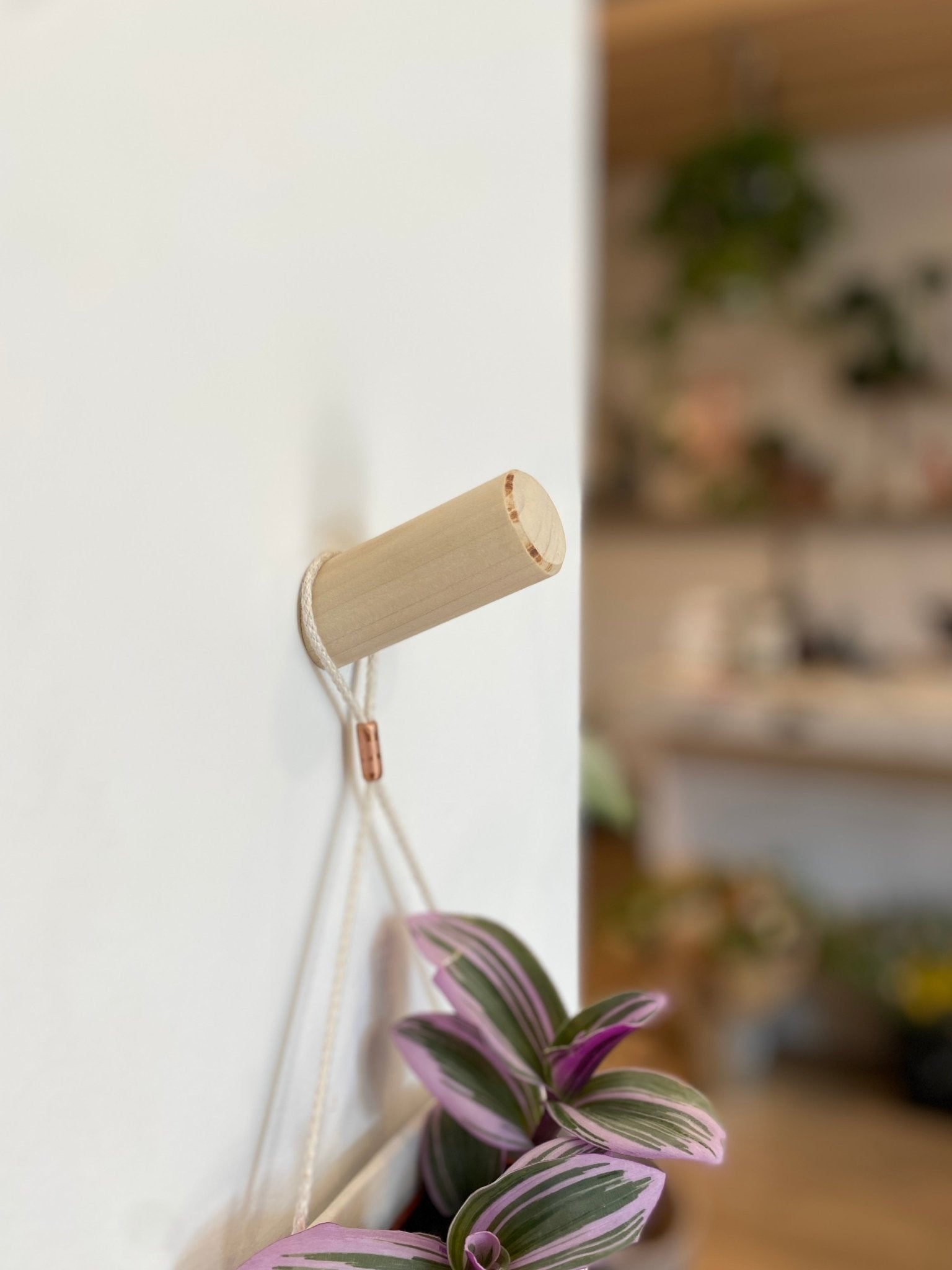 Crochet bois petit - Alma Plantes