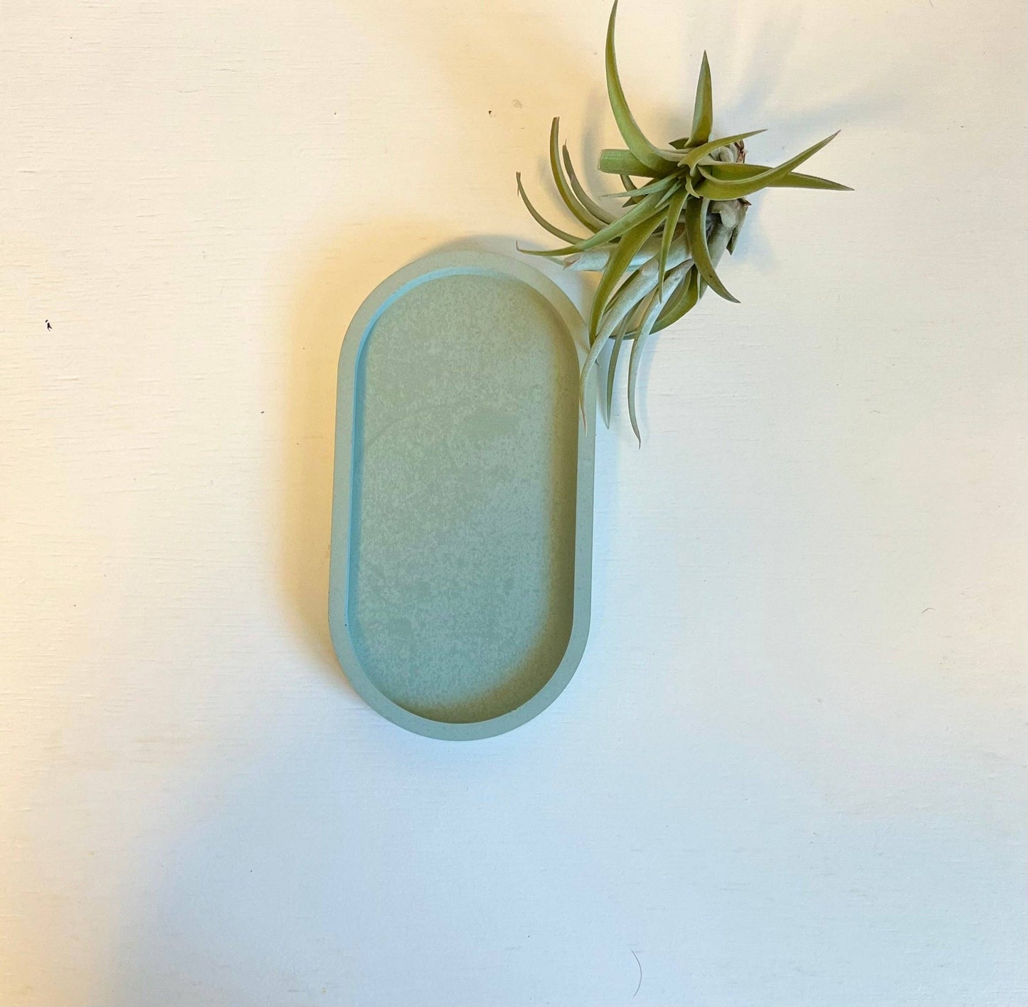 Plateau oval en béton