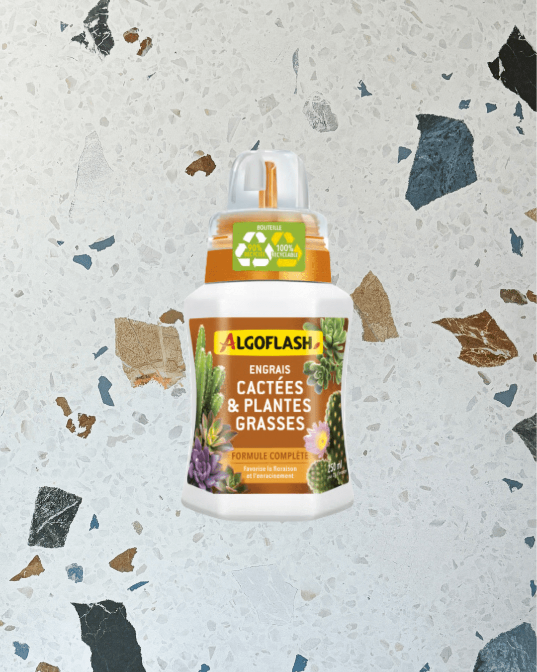 Engrais cactus et succulentes Algoflash - Alma Plantes