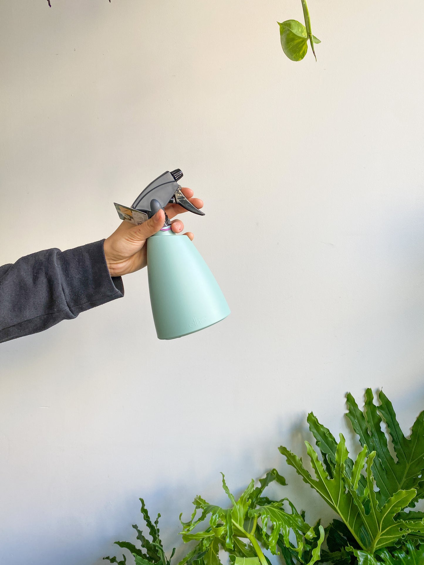 Vaporisateur en plastique