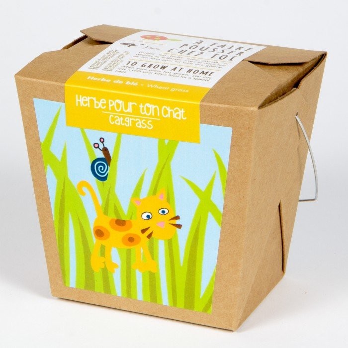 Jardin en boite junior - herbe pour ton chat - Alma Plantes