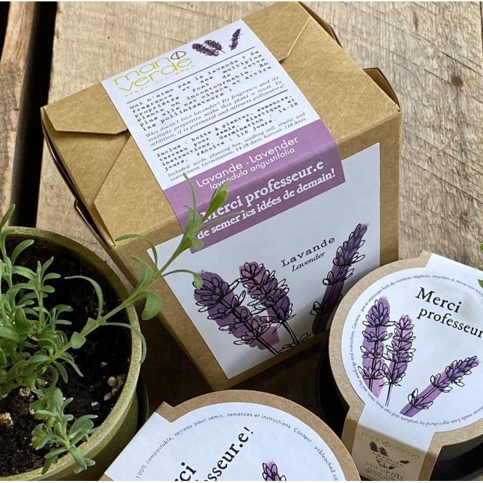 Jardin en boite - Merci professeur.e - Alma Plantes