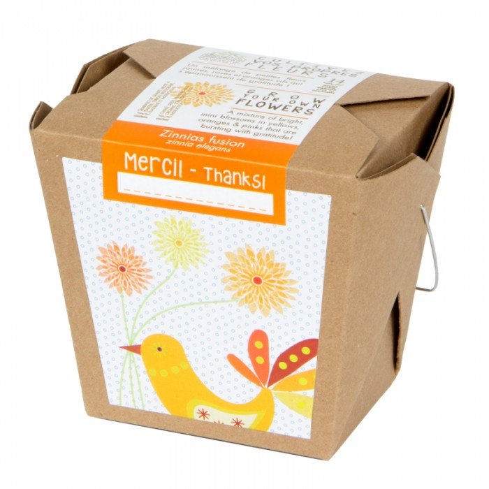 Jardin en boite - zinnias fusion - Alma Plantes