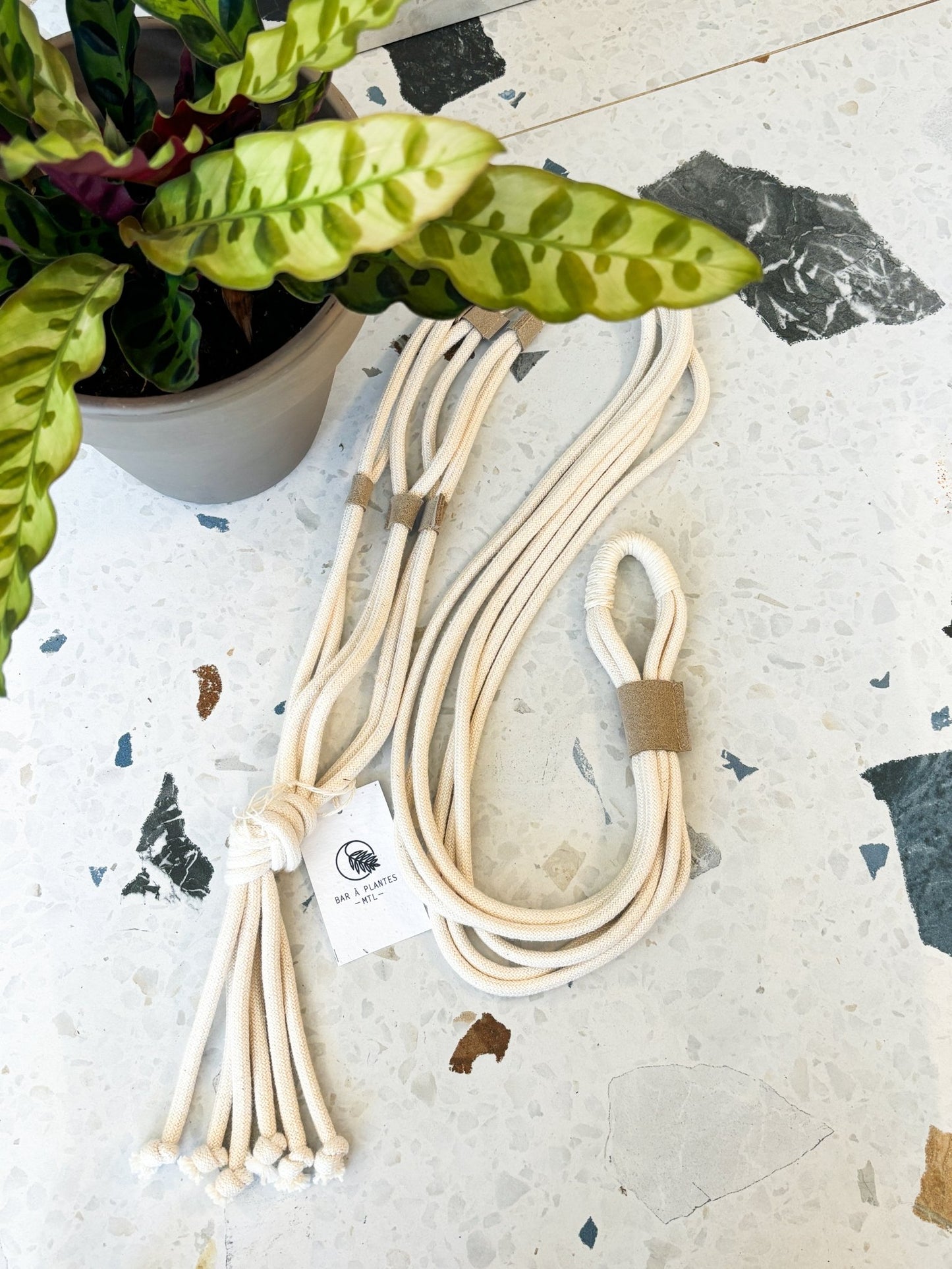 Jardinière ajustable - Sable - Alma Plantes