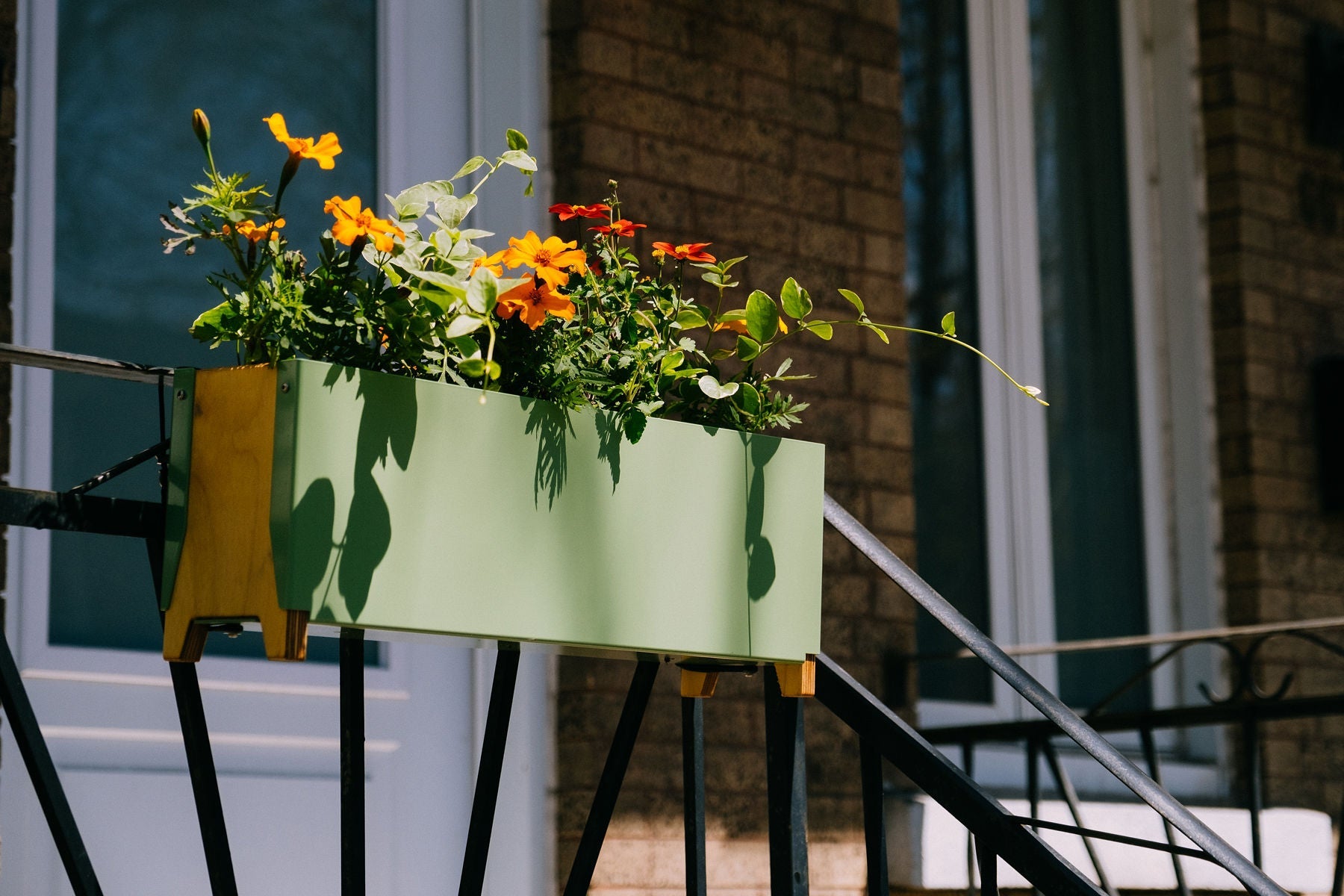 Jardinière | Butine - Alma Plantes