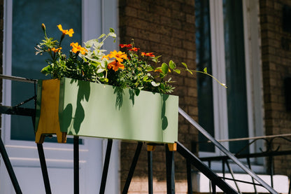 Jardinière | Butine - Alma Plantes
