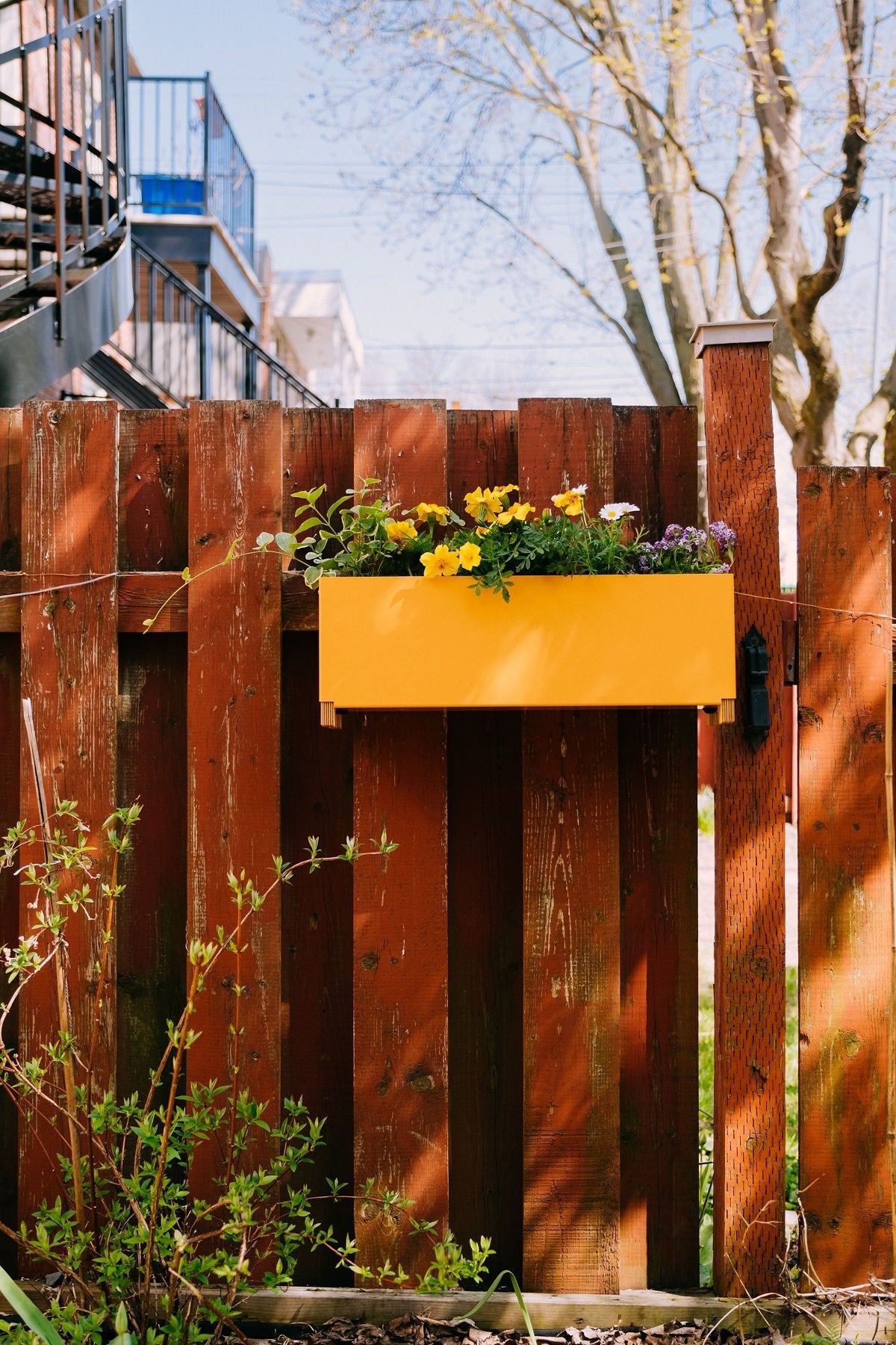 Jardinière | Butine - Alma Plantes