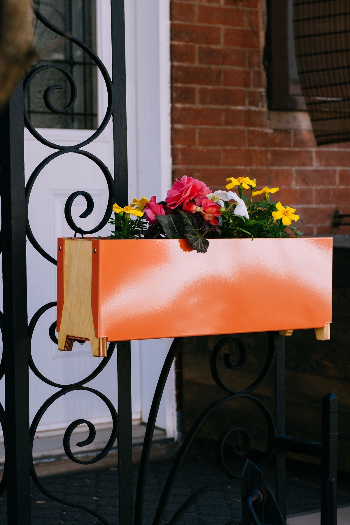 Jardinière | Butine - Alma Plantes