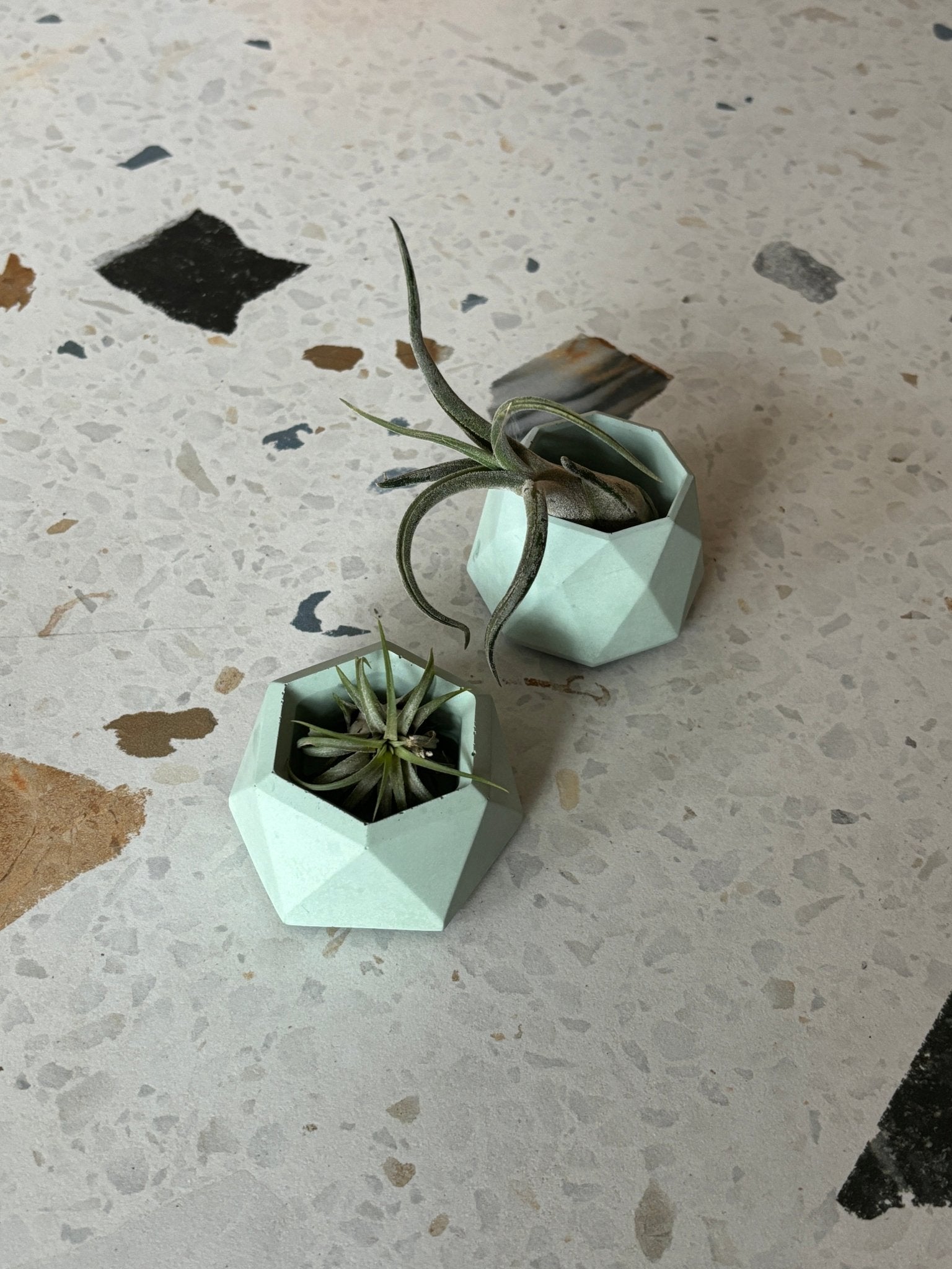 Mini pot géometrique en béton - Alma Plantes