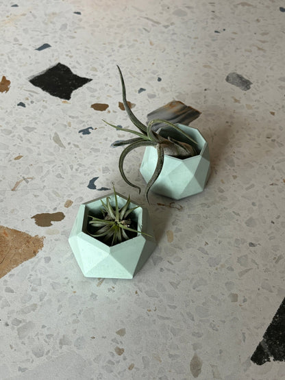 Mini pot géometrique en béton - Alma Plantes