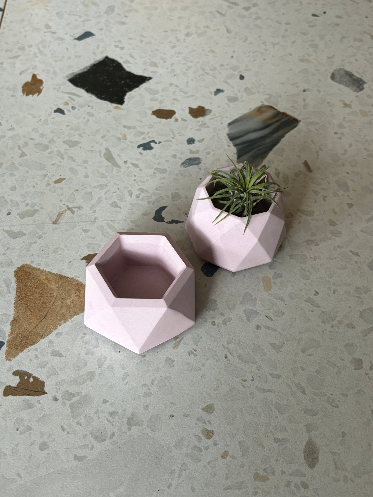 Mini pot géometrique en béton - Alma Plantes