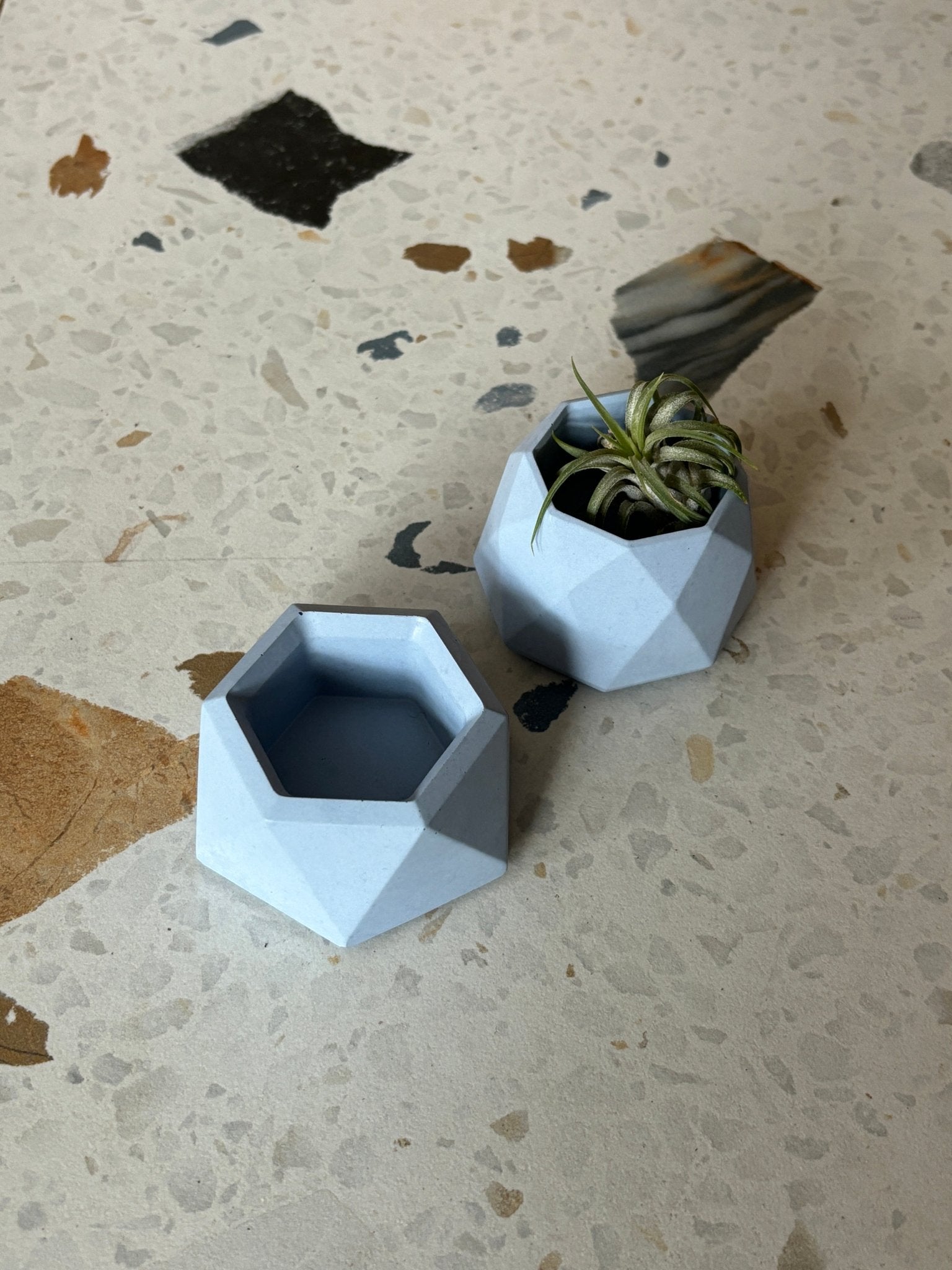 Mini pot géometrique en béton - Alma Plantes