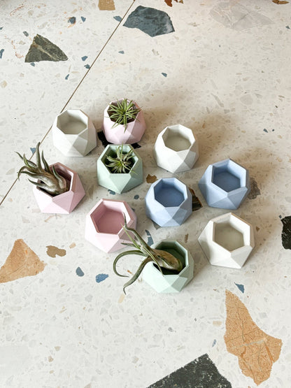 Mini pot géometrique en béton - Alma Plantes