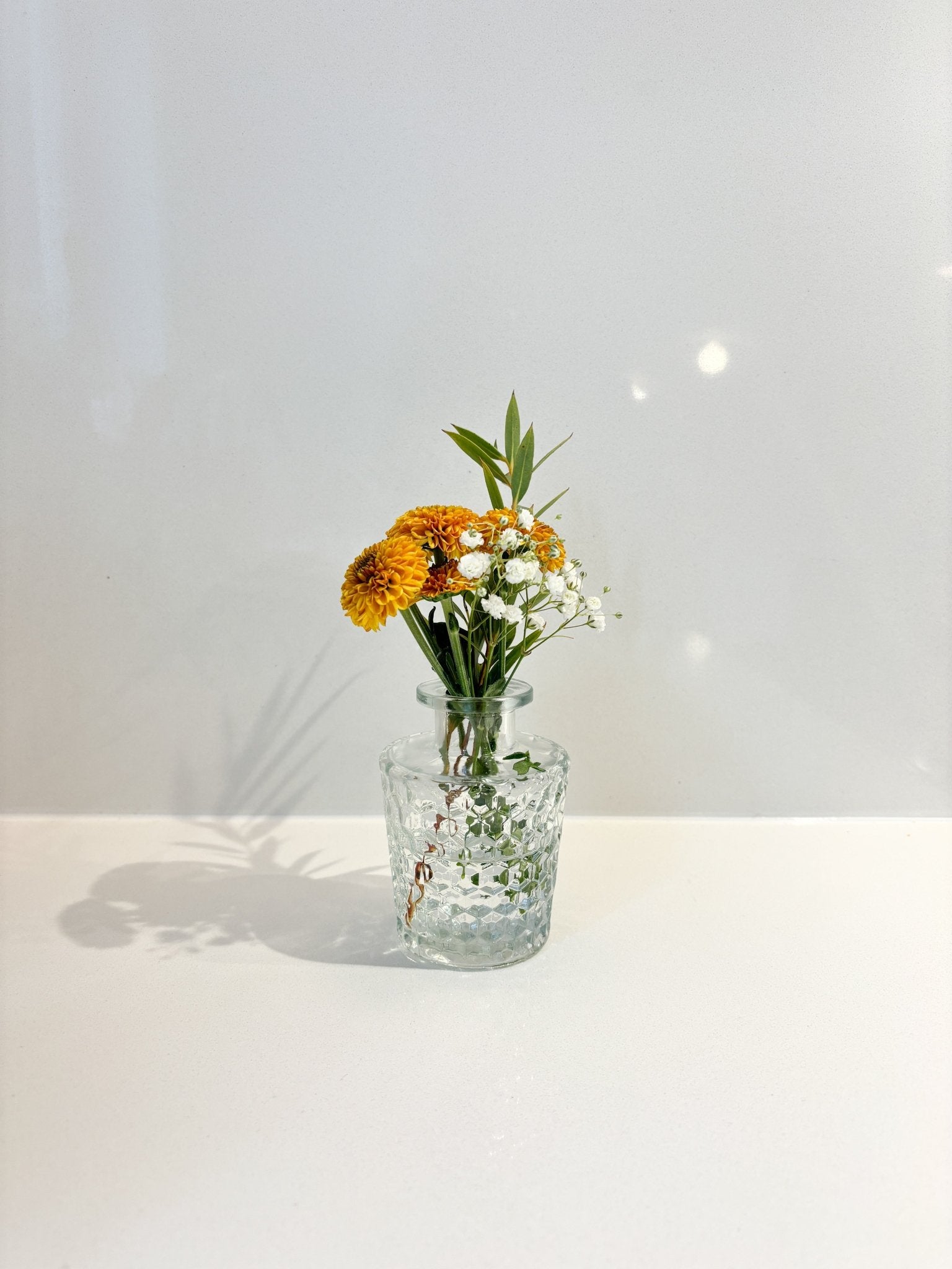 Mini vase assorti - Alma Plantes