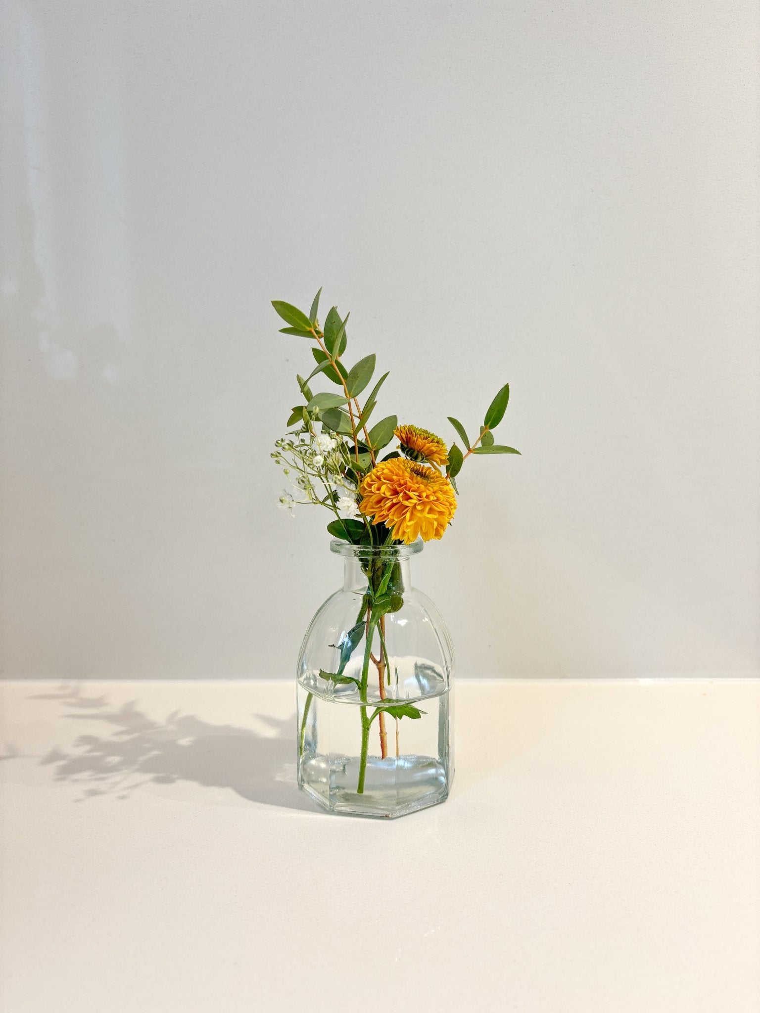 Mini vase assorti - Alma Plantes