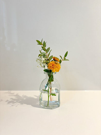 Mini vase assorti - Alma Plantes