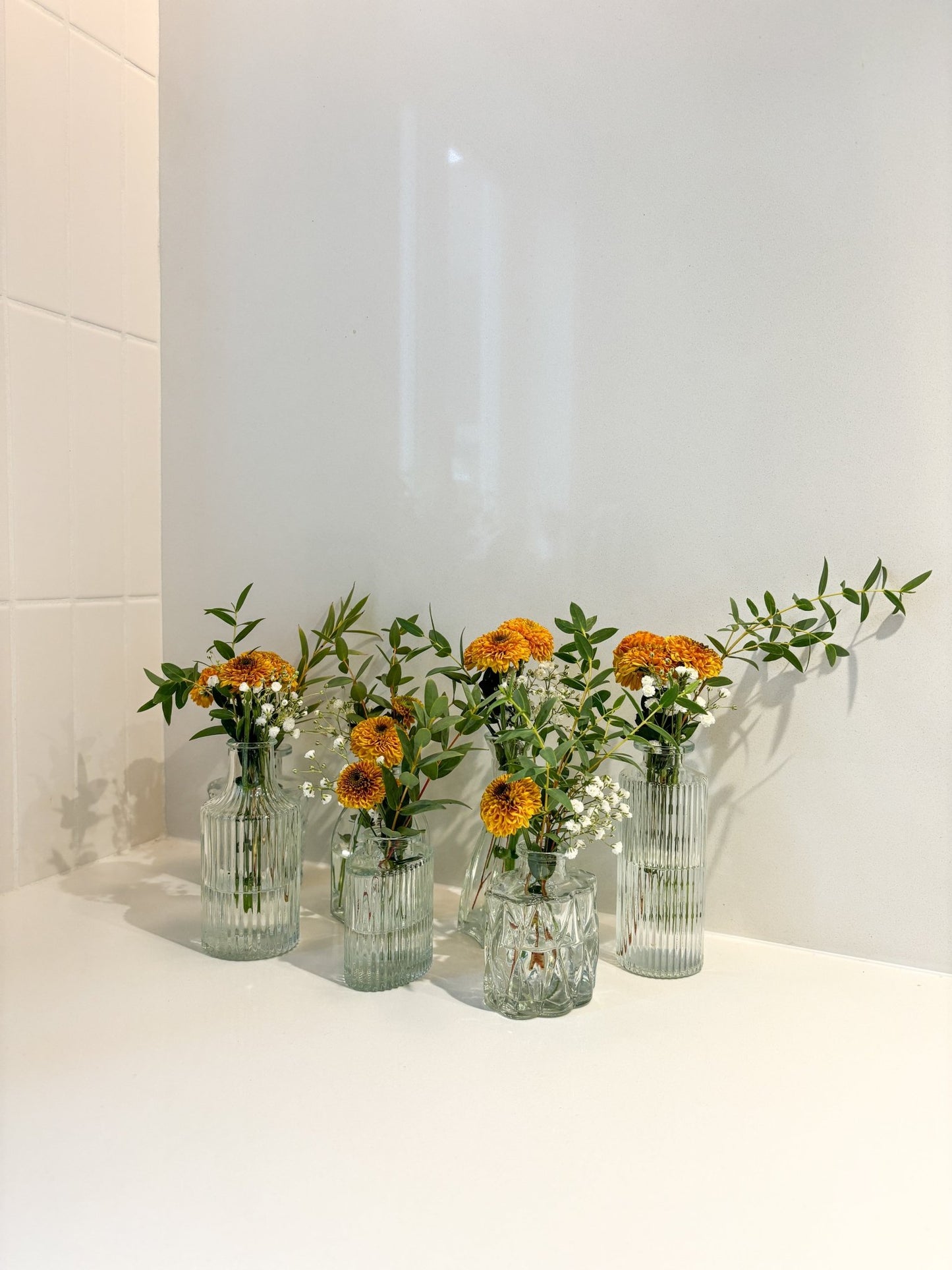 Mini vase assorti - Alma Plantes