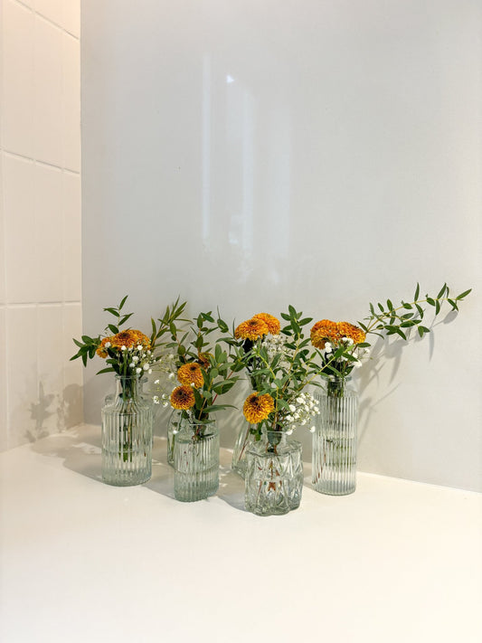 Mini vase assorti - Alma Plantes
