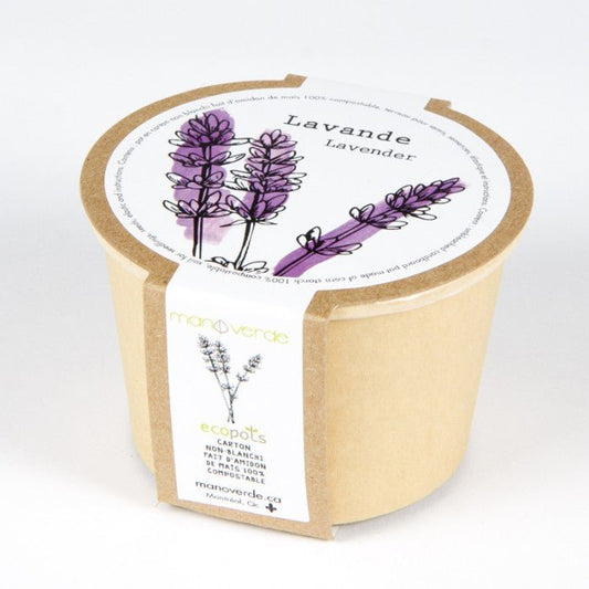 Minipot compostable - Lavande - Alma Plantes