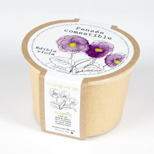 Minipot compostable - Pensée comestible - Alma Plantes