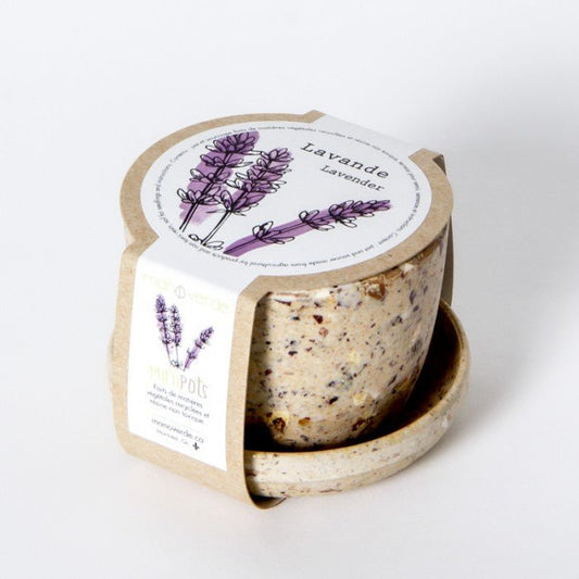 Minipot Lavande - fibre recyclée - Alma Plantes