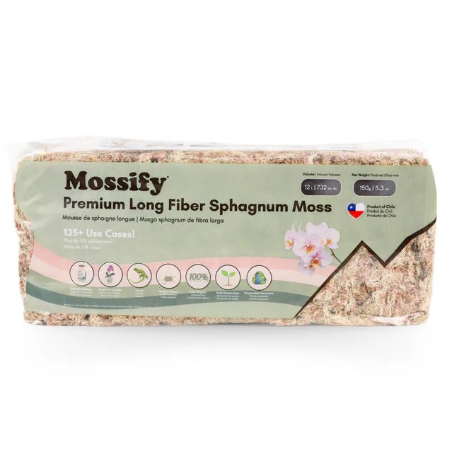 Mousse de Sphaigne - Alma Plantes