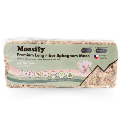 Mousse de Sphaigne - Alma Plantes